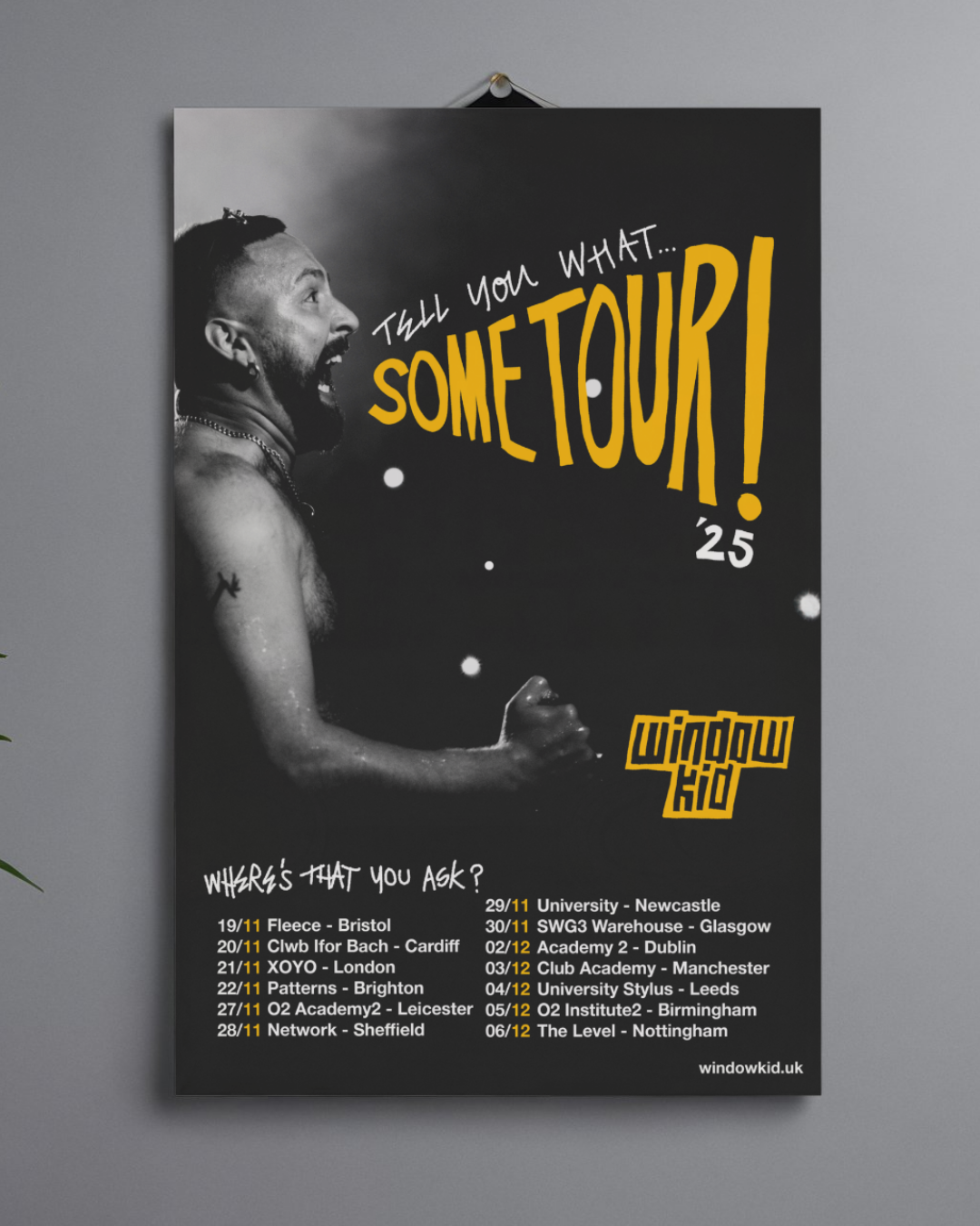 Signed Window Kid's 'Some Tour' Poster